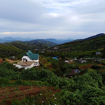 White house - Hotel exterior or room view