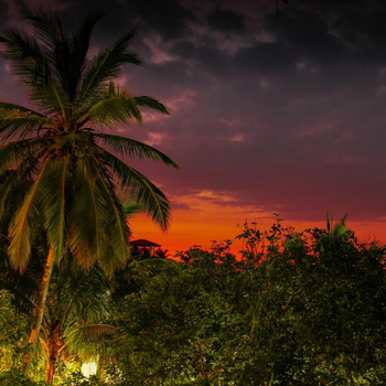 Simon's Lodge Hikkaduwa - Hotel exterior or room view