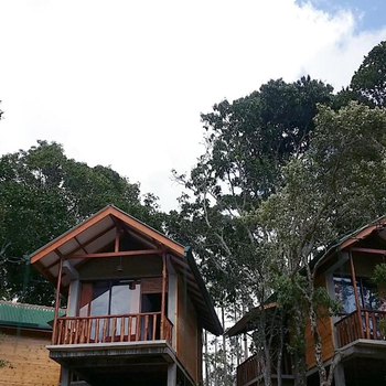 Saffron Eco Cottage - Hotel exterior or room view