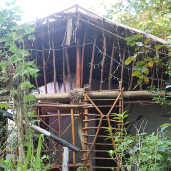 Misty Mount Resort - Hotel exterior or room view