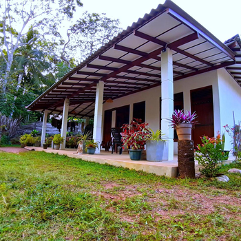 Cashew Villa Hiriketiya - Hotel exterior or room view