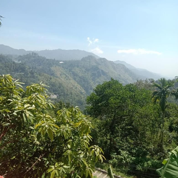 Charming View Homestay - Hotel exterior or room view