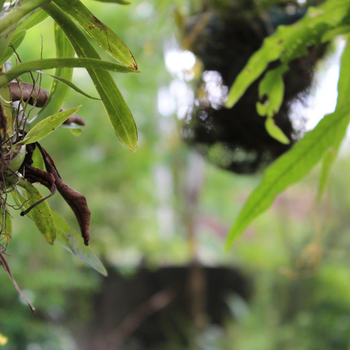 Natures Bliss Garden Stay - Hotel exterior or room view