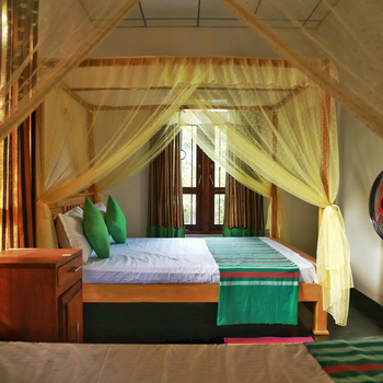 City Elephant Family Resort - Hotel exterior or room view