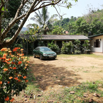 Leaf Guest House - Hotel exterior or room view