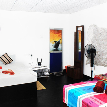 Sigiri Gayani Home Stay - Hotel exterior or room view
