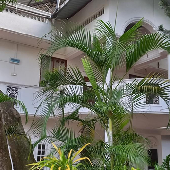 Shady transit hotel - Hotel exterior or room view
