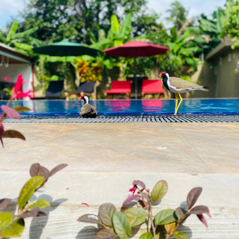 The Kingslayer Resort - Hotel exterior or room view