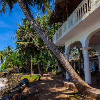 Palm villa Mirissa hotel&spa - Hotel exterior or room view