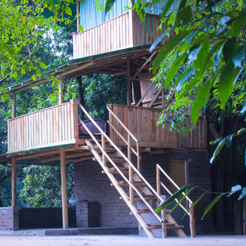 Forest Tree Top Holiday Resort - Hotel exterior or room view