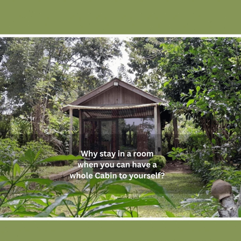 Private Cabin and private Kitchen - Experience serenity, and beautiful nature - Hotel exterior or room view