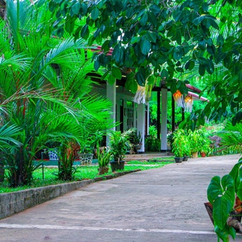 Sigiri Nisala Villa - Hotel exterior or room view