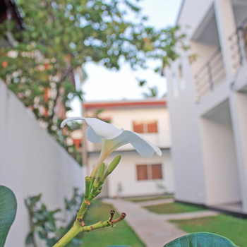 The Anchorage Holiday Apartments - Negombo - Hotel exterior or room view