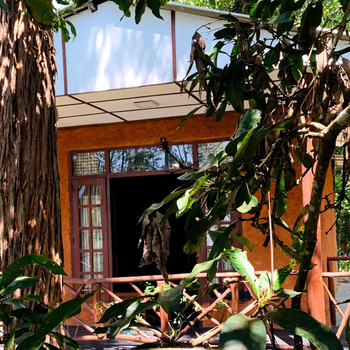 The Nirwana cottage - Hotel exterior or room view