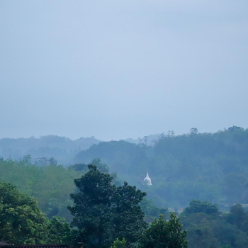 Sky Paradise Resort - Hotel exterior or room view