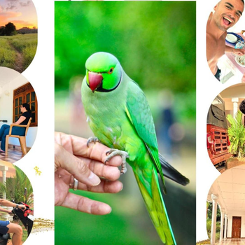 Grand Refuge Bird view Lake jogging Foods Bikes Tuk tuk & free city tour guidence - Hotel exterior or room view