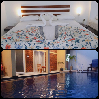 Petit Guest House - Hotel exterior or room view