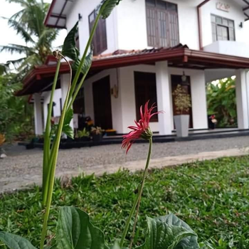 Ransavi villa - Hotel exterior or room view