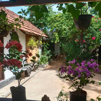 Mamisa Café, Home stay - Hotel exterior or room view