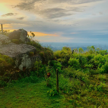 The Fog House - Hotel exterior or room view