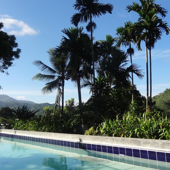 Strathisla Tea Estate Bungalow - Hotel exterior or room view