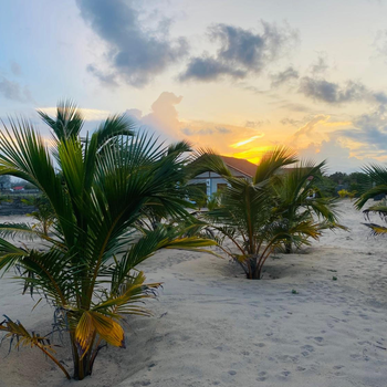 Oceano Beach Villa - Hotel exterior or room view