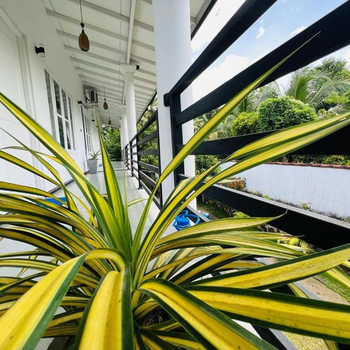 Open Space Luxury Apartments Unawatuna - Hotel exterior or room view