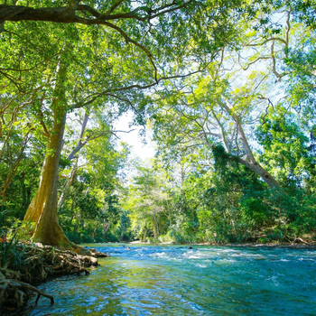 River Cottage - Hotel exterior or room view