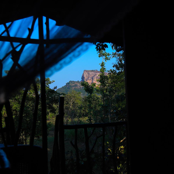 Sigiriya Rock Gate Tree House - Hotel exterior or room view