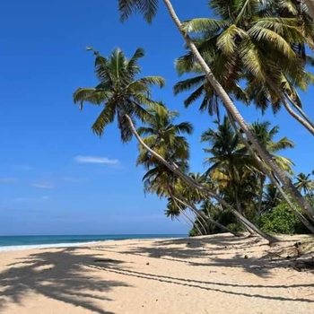Rainbow Beach Hotel - Hotel exterior or room view