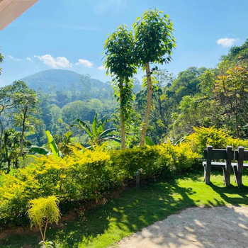 Ella Willow Cottage - Hotel exterior or room view