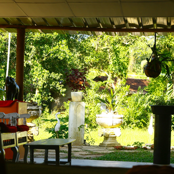 Nature Nest Home - Hotel exterior or room view