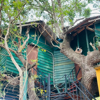 Eco Tree House Yala - Hotel exterior or room view