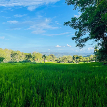 Green Agua Lodge - Hotel exterior or room view