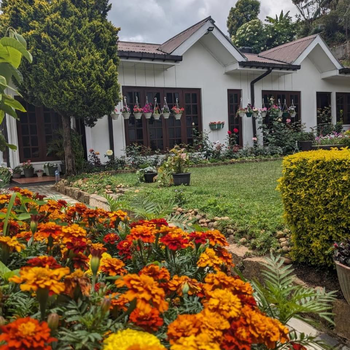 SILVER ROSE GUEST HOUSE - Hotel exterior or room view