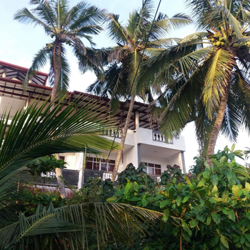 Peacock Wings Guest - Hotel exterior or room view