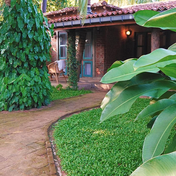 Nongu Home - Hotel exterior or room view