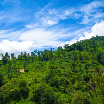 AJ Holiday Pavilion - Hotel exterior or room view