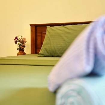 Turtle Point Homestay - Hotel exterior or room view