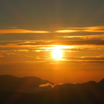 Hotel mango tree nearest Adam's peak - Hotel exterior or room view