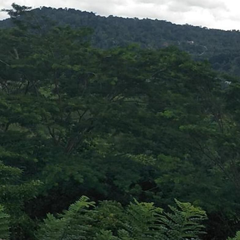 Nature's Nest Homestay - Hotel exterior or room view