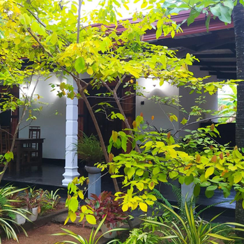 Yashi's Place Sigiriya - Hotel exterior or room view