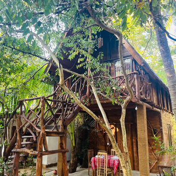 Sigiri Lodge Tree House - Hotel exterior or room view