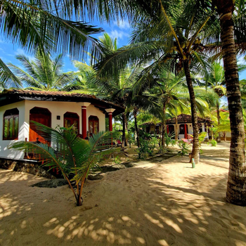 Patini Bungalows - Beach Garden - Hotel exterior or room view