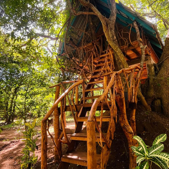Ali Adi Eco Lodge - Hotel exterior or room view