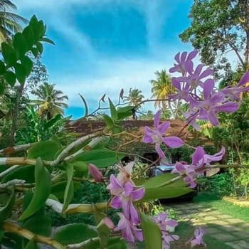 Farming Hostel Ahangama - Hotel exterior or room view