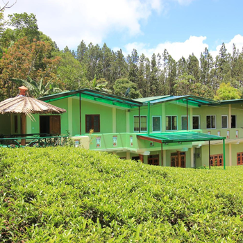 Narra Homestay - Hotel exterior or room view