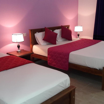New Rani Inn - Hotel exterior or room view