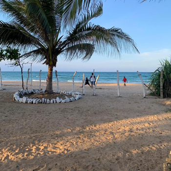 Amigos Inn - Hotel exterior or room view